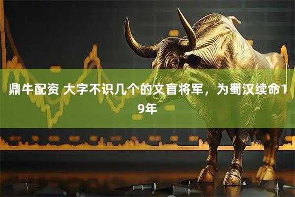 鼎牛配资 大字不识几个的文盲将军，为蜀汉续命19年