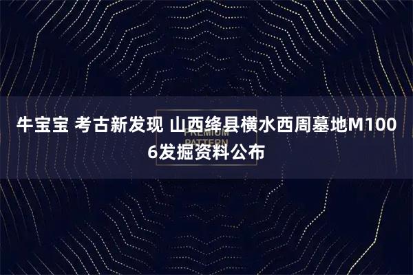 牛宝宝 考古新发现 山西绛县横水西周墓地M1006发掘资料公布