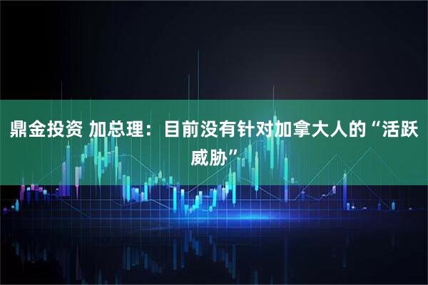 鼎金投资 加总理：目前没有针对加拿大人的“活跃威胁”