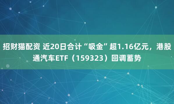 招财猫配资 近20日合计“吸金”超1.16亿元，港股通汽车ETF（159323）回调蓄势
