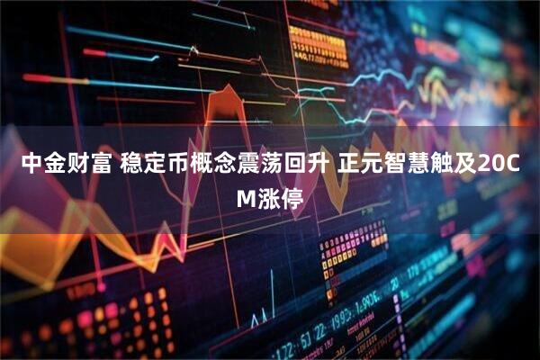 中金财富 稳定币概念震荡回升 正元智慧触及20CM涨停