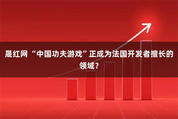 晟红网 “中国功夫游戏”正成为法国开发者擅长的领域？