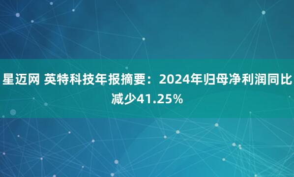 星迈网 英特科技年报摘要：2024年归母净利润同比减少41.25%
