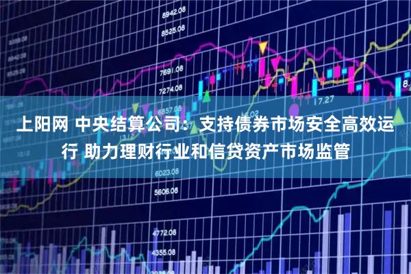 上阳网 中央结算公司：支持债券市场安全高效运行 助力理财行业和信贷资产市场监管